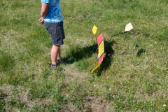 IMG_20230810_110326368_HDR